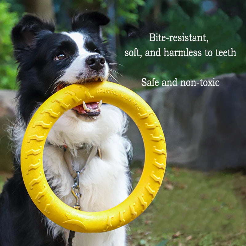 Tug Ball on a Rope – Fetch & Tug Dog Toy