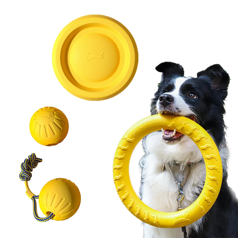 Tug Ball on a Rope – Fetch & Tug Dog Toy