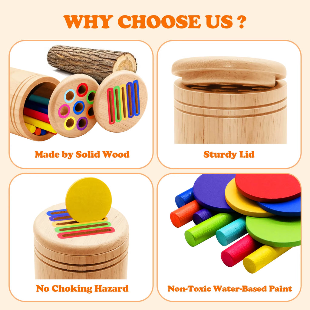 Montessori Wooden Colour & Shape Sorting Set